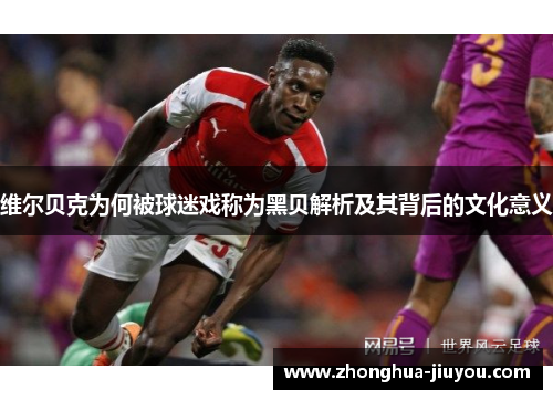 维尔贝克为何被球迷戏称为黑贝解析及其背后的文化意义 维尔贝克为何被球迷戏称为黑贝解析及其背后的文化意义